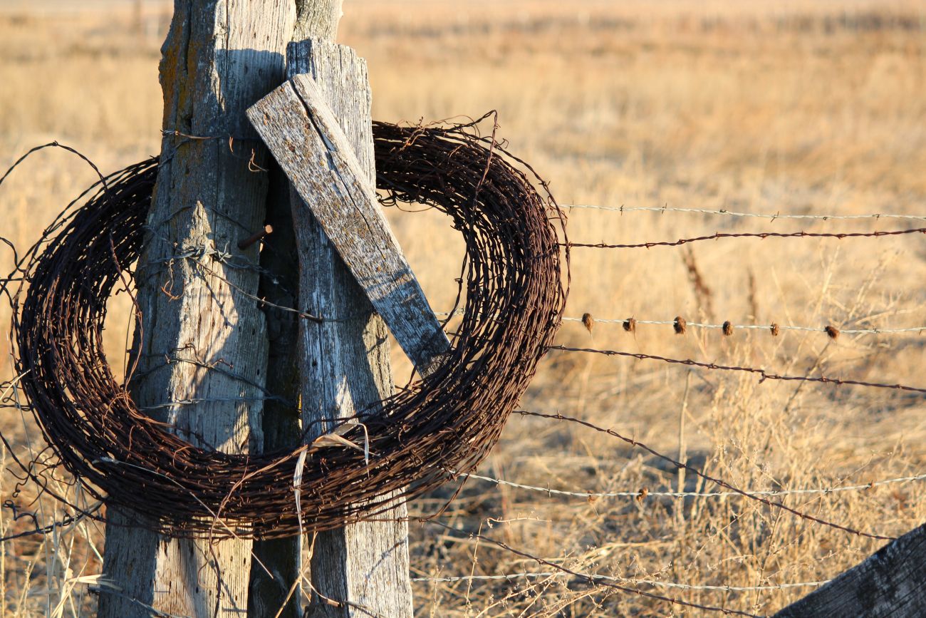 A fence in a field with barbed wire wrapped around it.