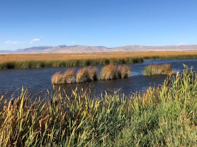 Bear Lake National Wildlife Refuge