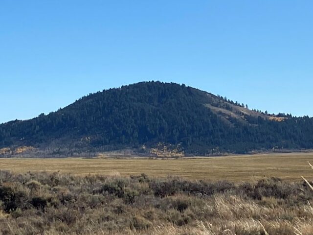 China Hat and China Cap