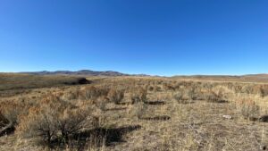 Curlew National Grassland