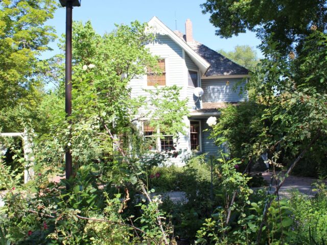 Dragongoose Farm and Apple Cider