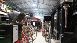 Wagon Land Adventure