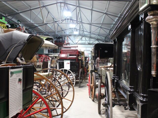 Wagon Land Adventure