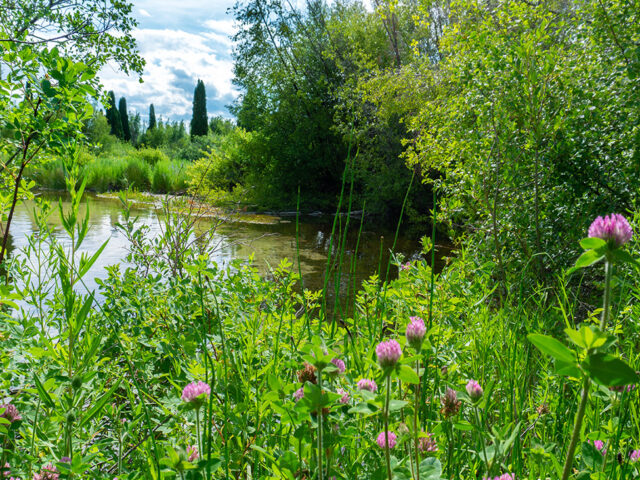 Formation Springs and Cave