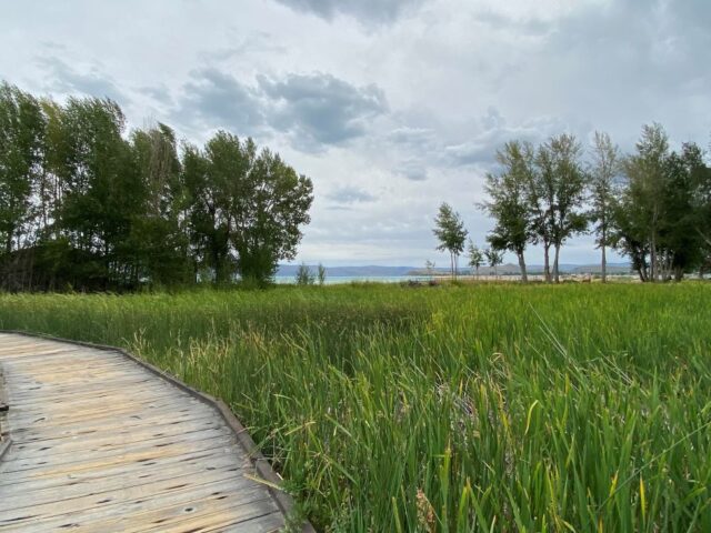 The Garden City Park Boardwalk