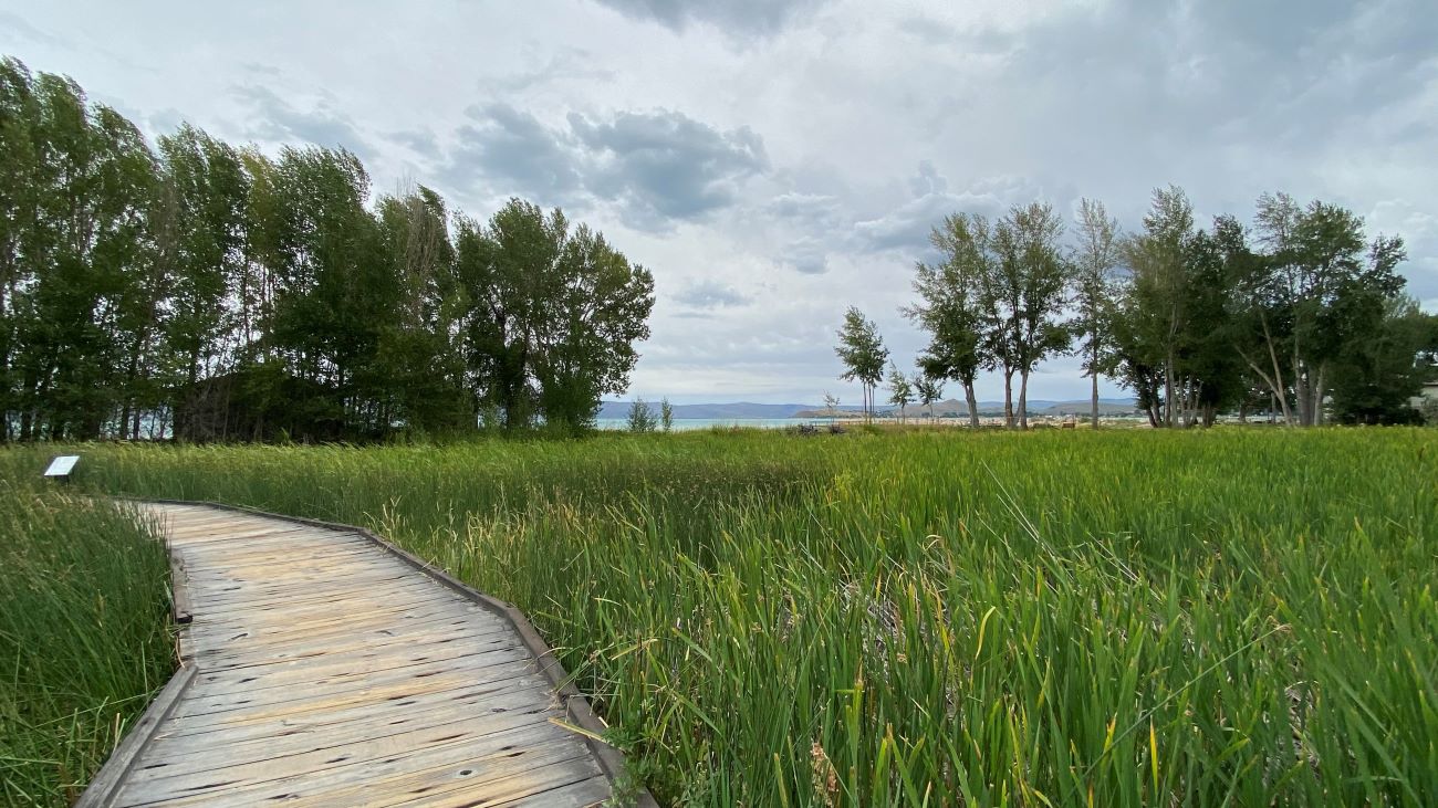 The boardwalk that goes from the Garden City park to the shore of Bear Lake.