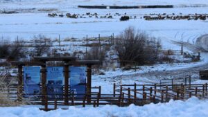 Hardware Ranch and Elk Refuge