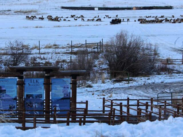 Hardware Ranch and Elk Refuge
