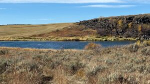 Hilda Thompson Wetlands Project