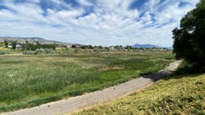 Holmgren Nature Preserve Trail