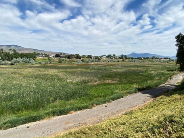 Holmgren Nature Preserve Trail