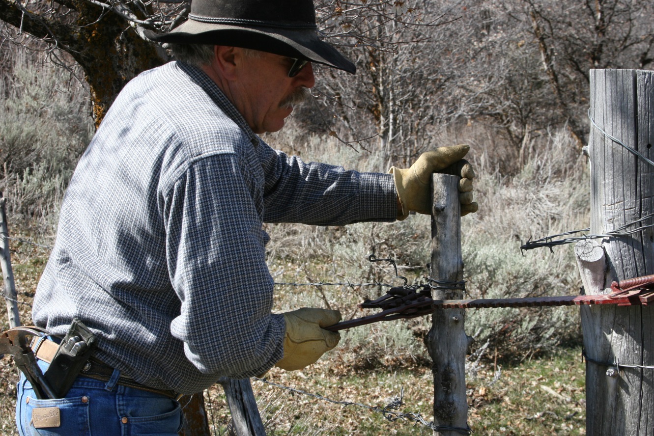 Jay Wilde Fixing Fences