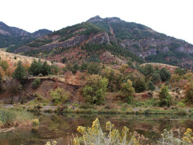 Logan Canyon Scenic Byway