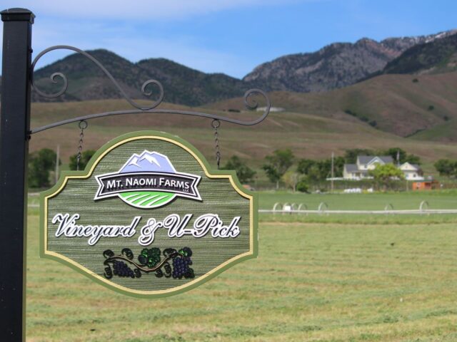 Mt. Naomi Farms