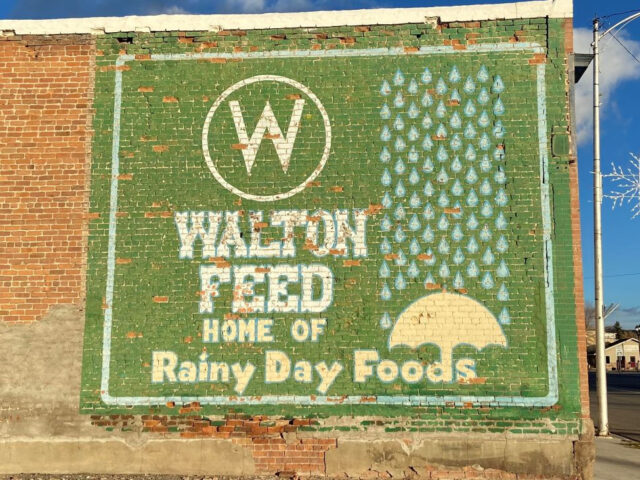Walton's Feed, Inc.