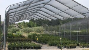 Zollinger's Apple Cider / Fruit and Tree Farm