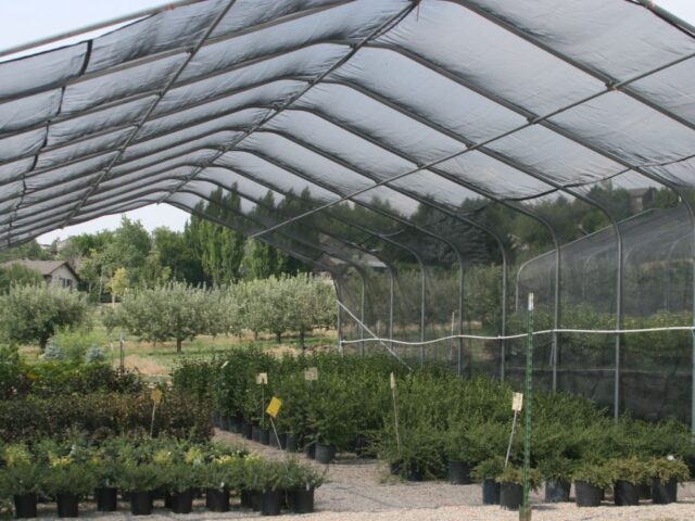 Zollinger's Apple Cider / Fruit and Tree Farm